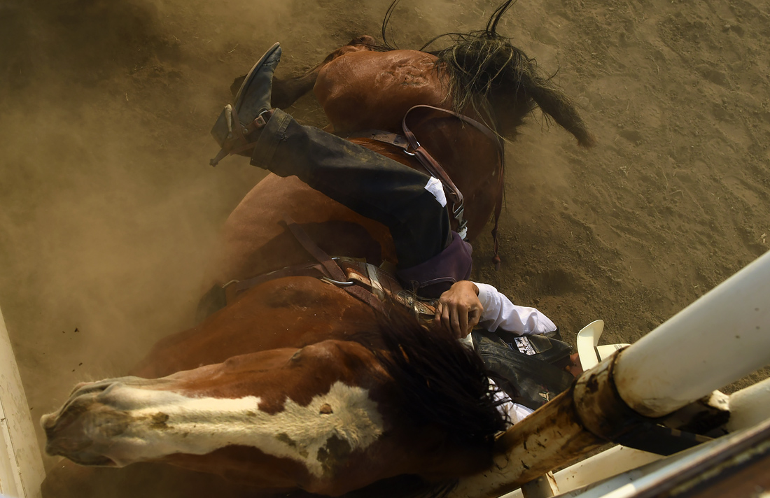 Родео в Колорадо, США