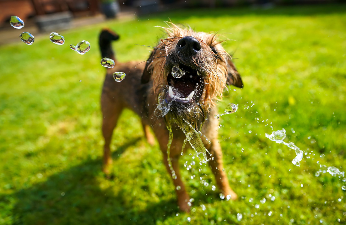 Общественное здравоохранение Англии продлило свое предупреждение об экстремальной жаре до пятницы