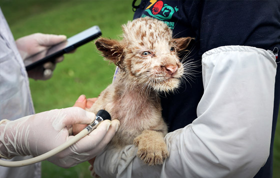 Фотохроника 29 июля