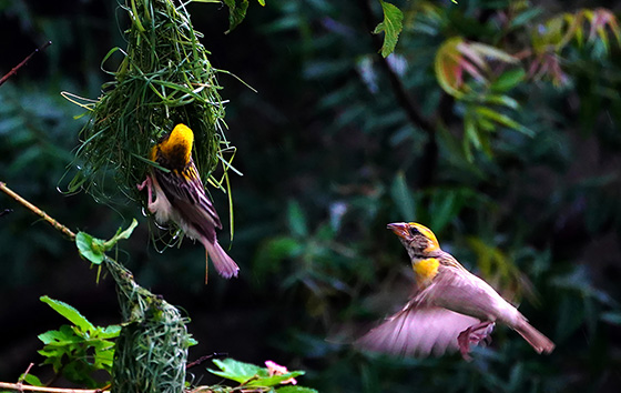 Фотохроника 30 июля