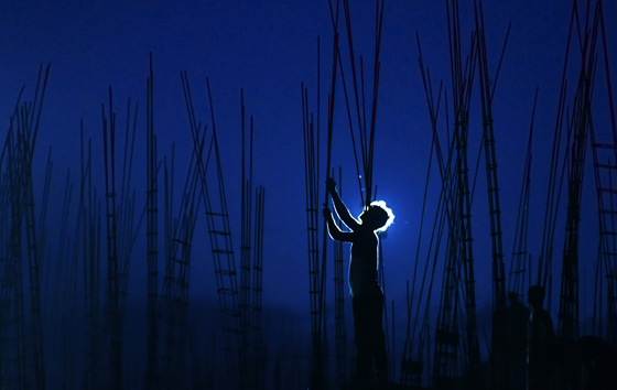 Лучшие фото недели