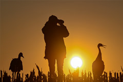 Росстат начал первую в РФ сельскохозяйственную микроперепись