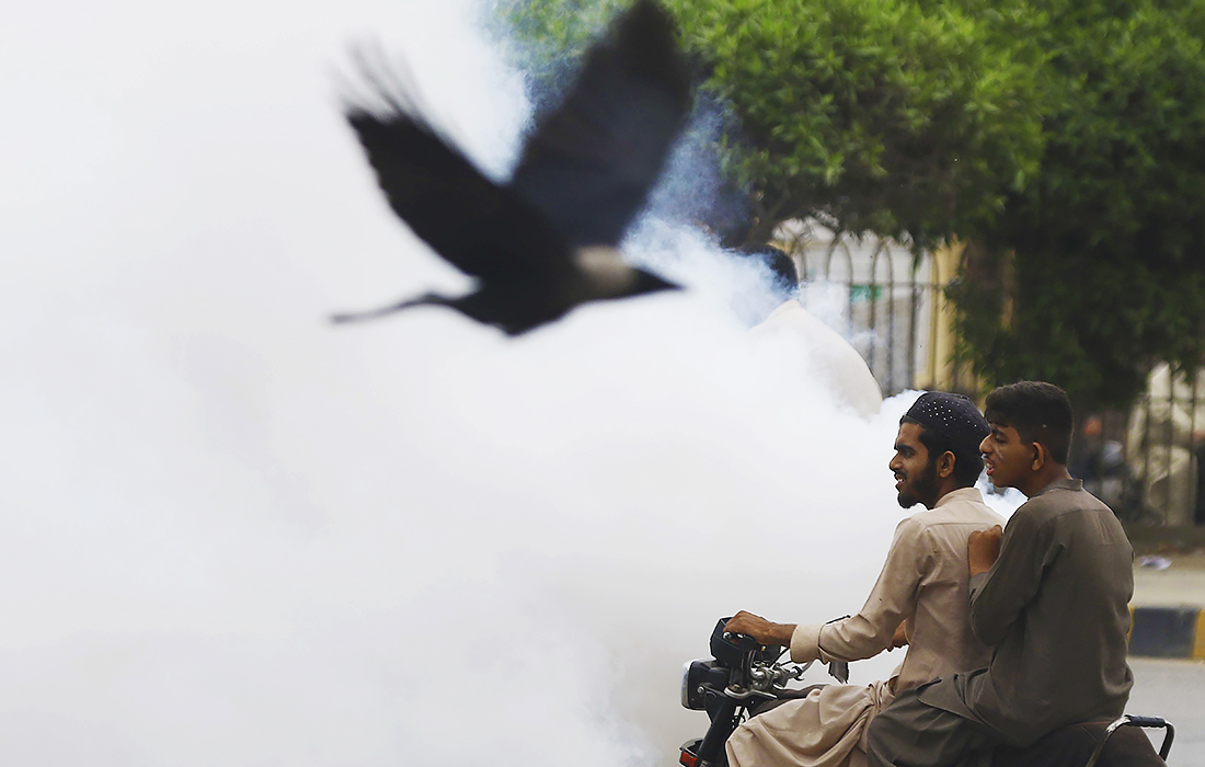 Дезинфекция улиц в пакистанском Карачи