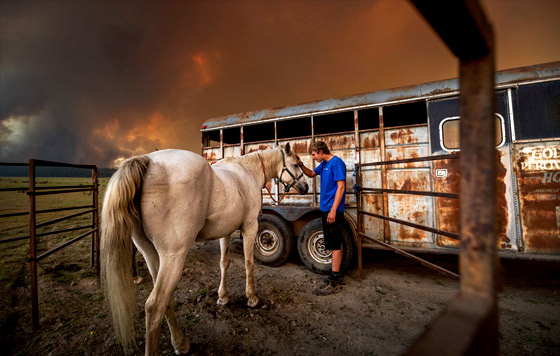 Фотохроника 4 августа