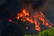 Европейский союз задействовал свой механизм гражданской защиты для помощи Греции и другим странам Средиземноморья в тушении лесных пожаров