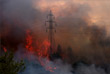 Власти Греции и ЕС назвали пожары последствиями изменения климата