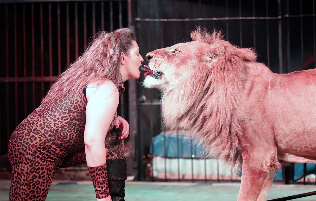 Выступление Египетского национального цирка в Каире