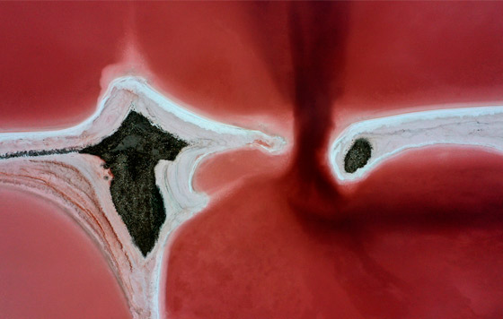 Лучшие фото недели