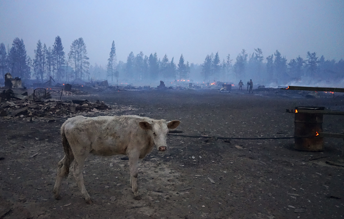 Лесные пожары продолжают бушевать во многих регионах России. Самая сложная ситуация в Якутии, где введен режим ЧС регионального характера. На фото: якутское село Бясь-Кюель.