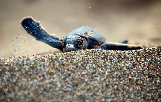 Фотохроника 12 августа