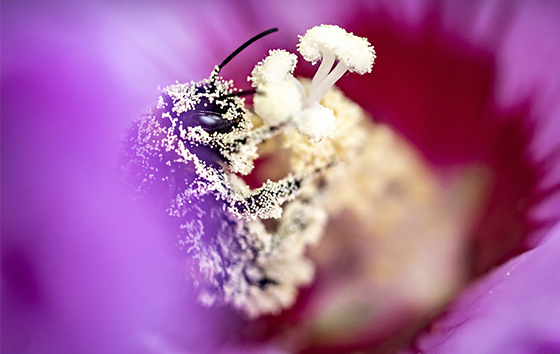 Лучшие фото недели