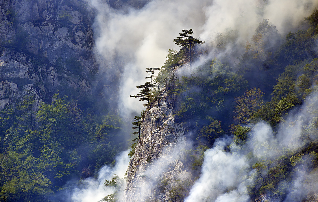 Лесной пожар в Черногории