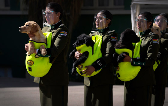 Фотохроника 17 августа