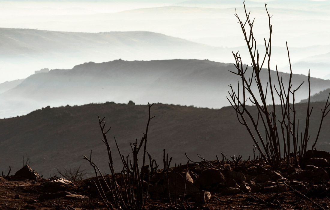Последствия лесных пожаров в центральной части Испании