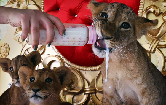 Фотохроника 20 августа