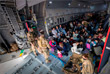 Военно-транспортный самолет A400M с беженцами на борту, совершивший посадку в международном аэропорту Ташкента