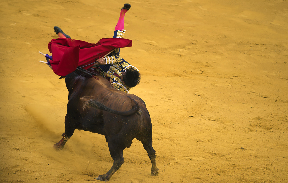 Коррида в испанской Малаге