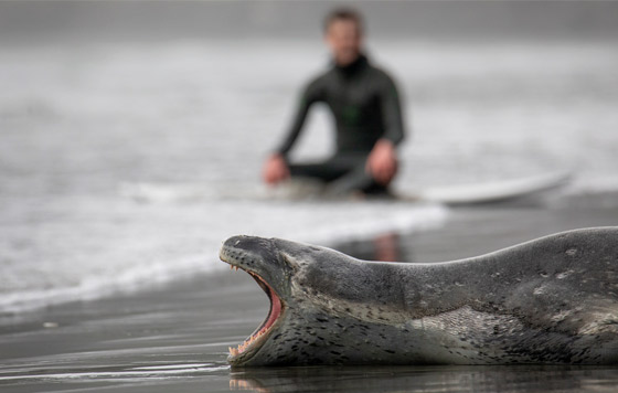 Фотохроника 2 сентября