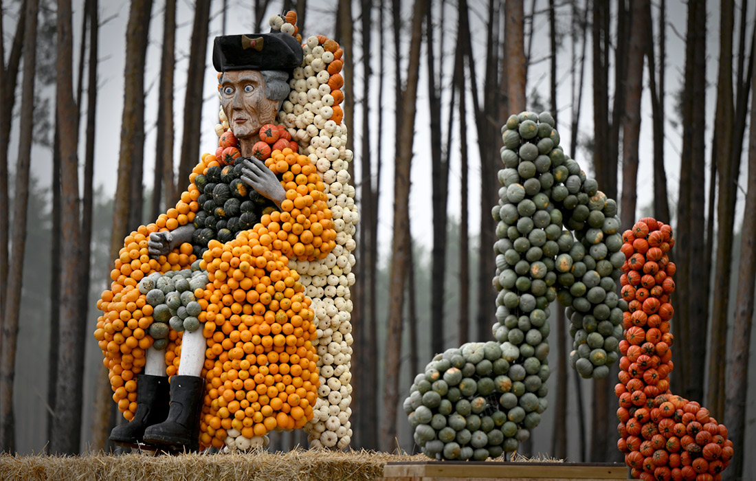 Ежегодная выставка тыкв откроется 4 сентября в бранденбургском Клайстове