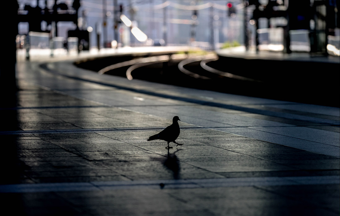2 сентября. В Германии началась пятидневная забастовка сотрудников железнодорожного транспорта. Профсоюз требует повышения тарифных ставок на 3,2% и единовременную премию в 600 евро каждому сотруднику на фоне пандемии коронавируса.