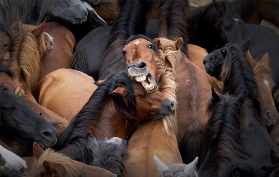 Лучшие фото недели