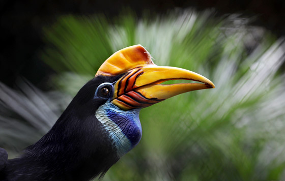 Лучшие фото недели