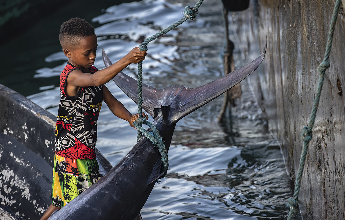 Правительство Индонезии намерено увеличить экспорт от рыбной ловли на 1,5 миллиарда долларов к 2024 году. На фото: выгрузка марлина на традиционном рыбном рынке Хамади.