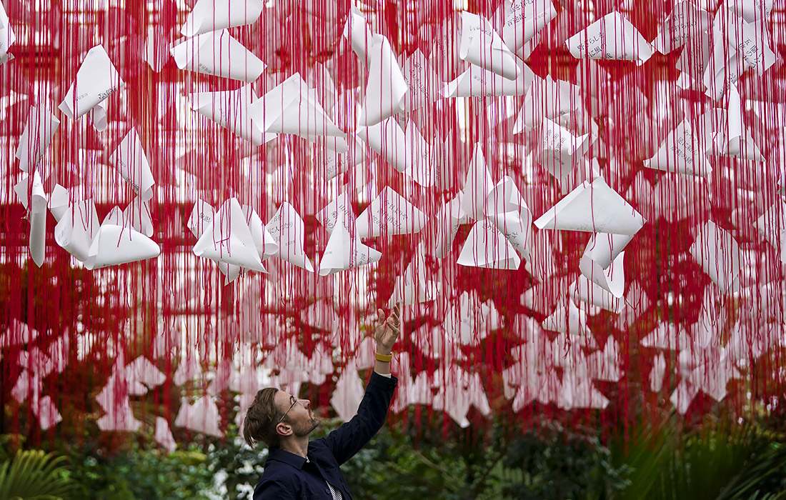 В лондонском Королевском ботаническом саду проходит фестиваль японской культуры