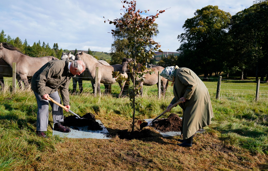 Королева Великобритании Елизавета II и принц Чарльз посадили дерево в Балморале