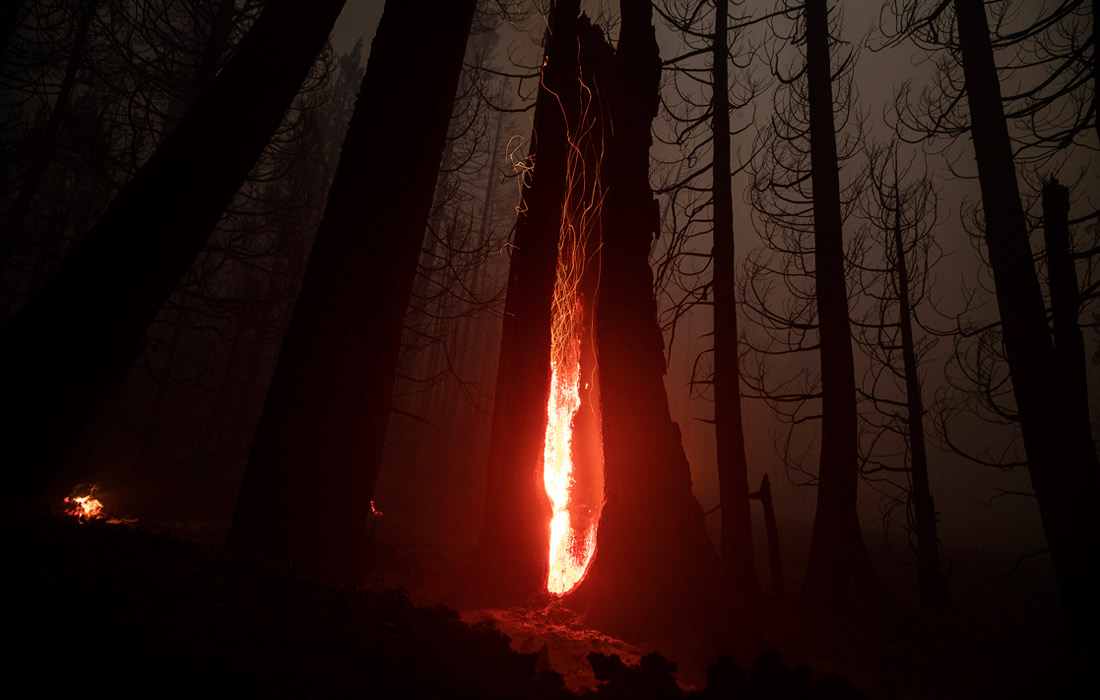 Пожар в национальном парке "Секвойя" в США