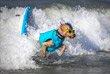 Ежегодные соревнования по серфингу для собак в Калифорнии