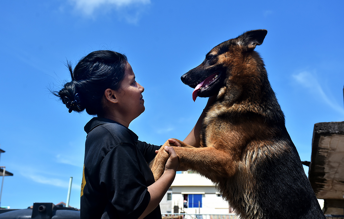 Работа центра ухода за животными в Бангладеш во Всемирный день защиты животных