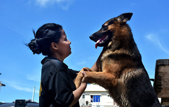 Фотохроника 4 октября