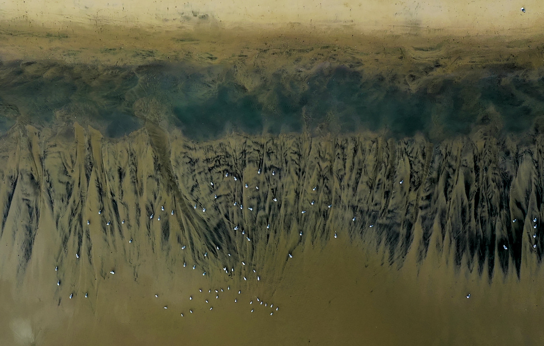 Крупный разлив нефти в Хантингтон-Бич, Калифорния