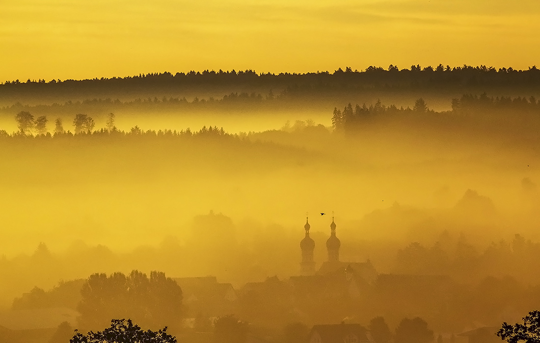 Утренний туман в Баден-Вюртемберге, Германия