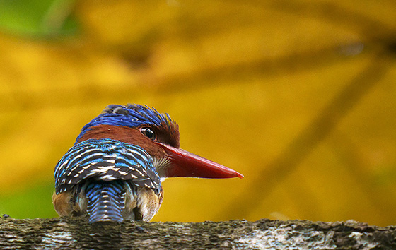 Фотохроника 8 октября