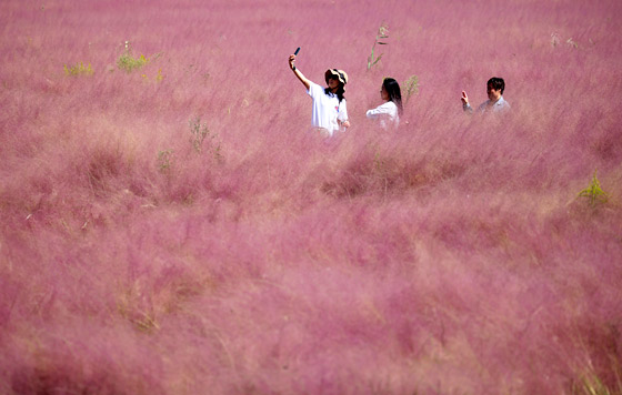 Фотохроника 13 октября