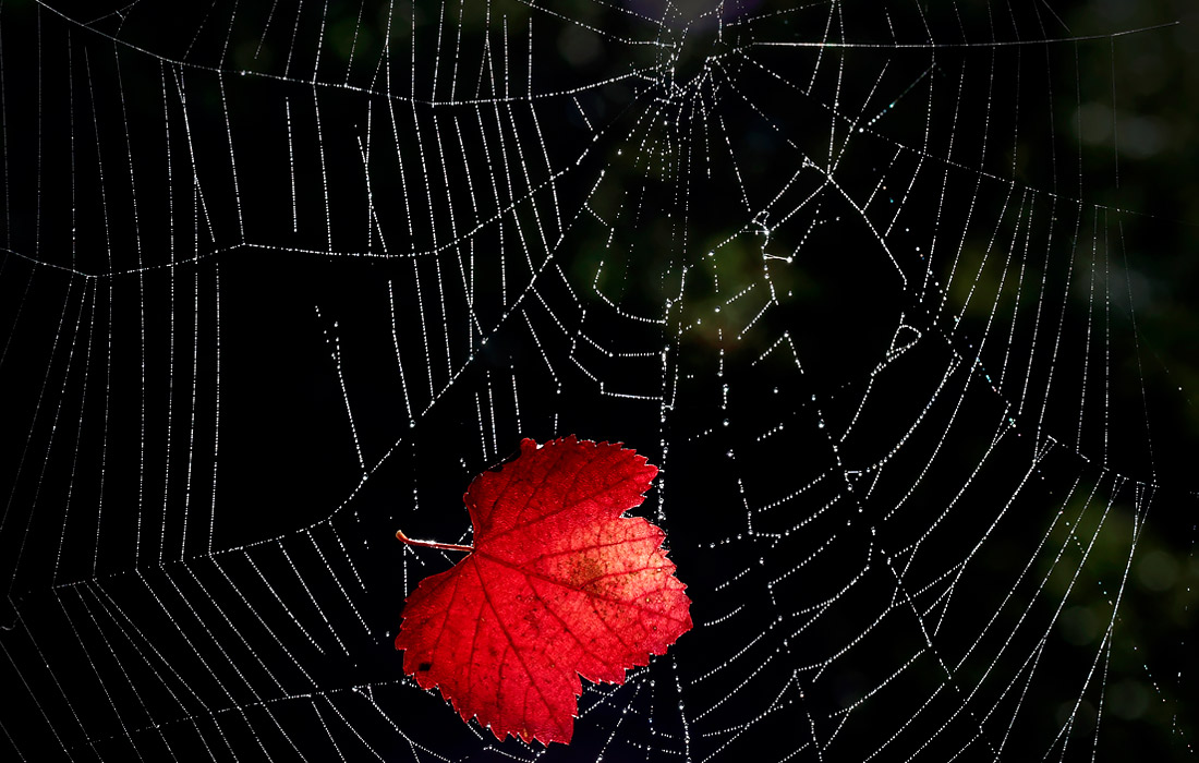 Осень в Памплоне, Испания