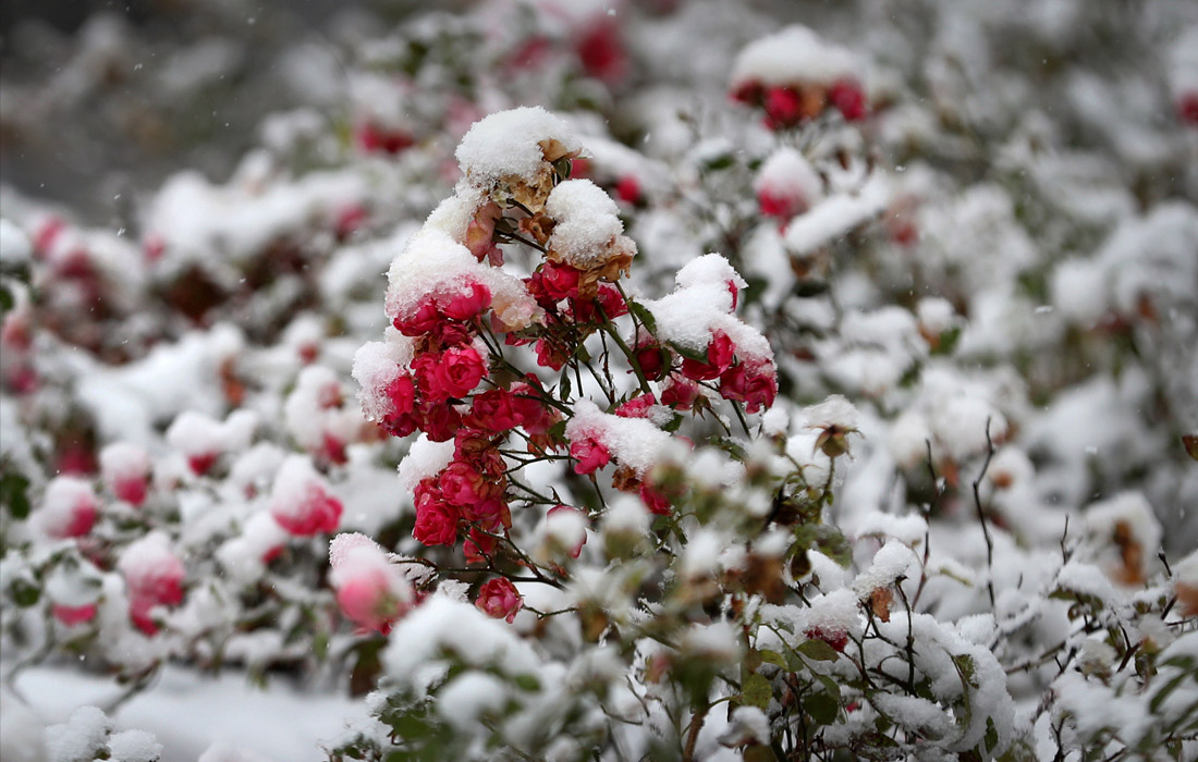 Первый снег выпал в Закопане, Польша