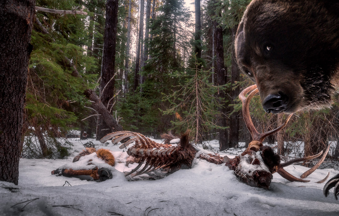 Пискаға табыну порно