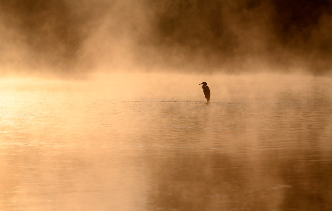Морозное утро в Пшемысле, Польша