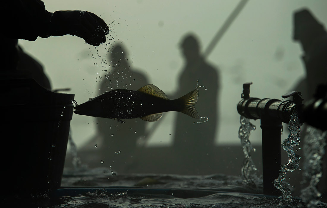 Рыбаки в Тршебоне, Чехия