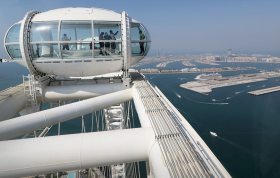 Фотохроника 21 октября