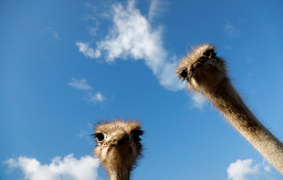 Лучшие фото недели