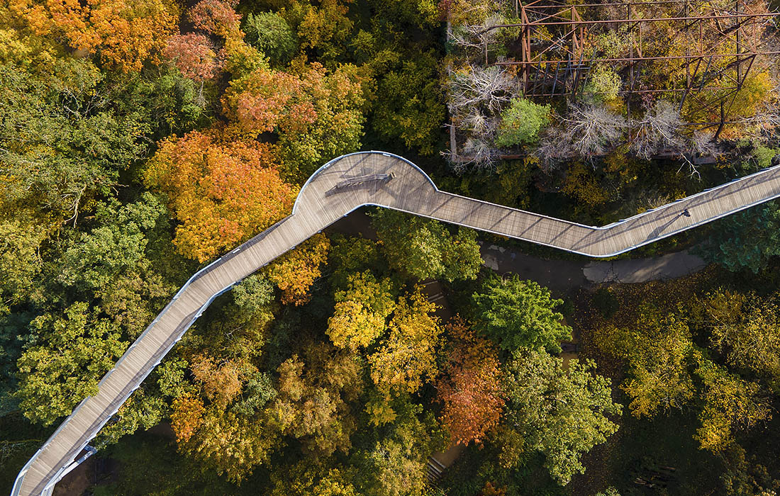 Прогулочная тропа в Германии в лесу близ Беелитца, поднятая высоко над землей