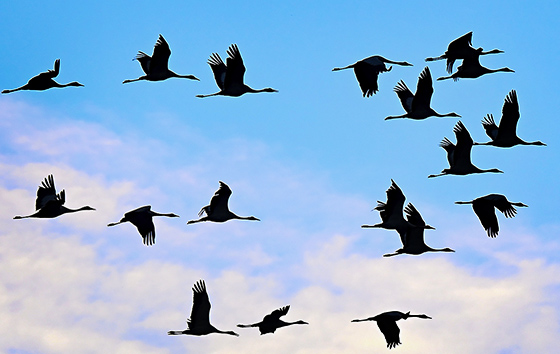 Фотохроника 25 октября