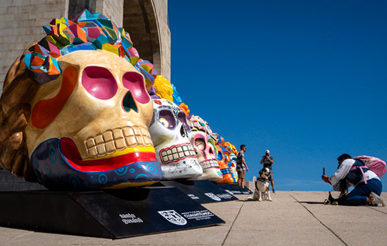 Фотохроника 28 октября