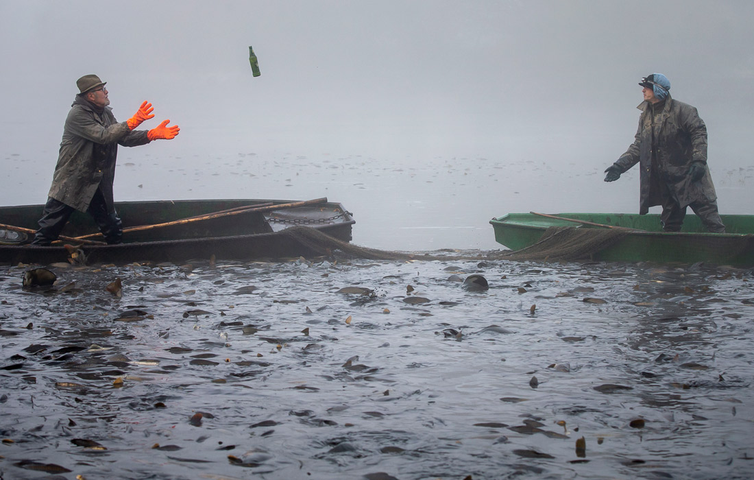 В Чехии на Бузицком пруду прошла традиционная ловля карпа