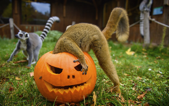 Лучшие фото недели