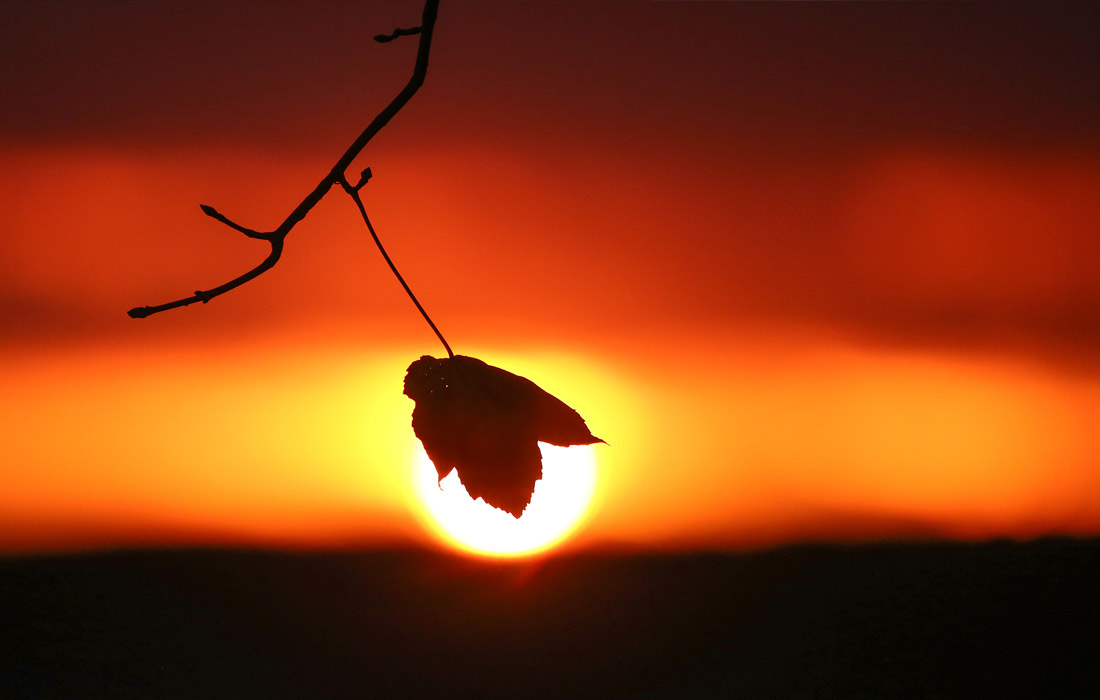 Восход солнца в Уттенвайлере, Германия